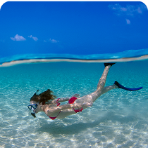 블루포세이돈 클랜