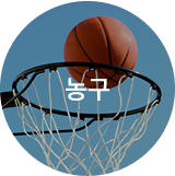 갤러리 이미지 9