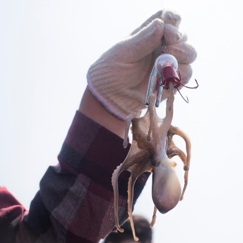 낚시 활동 사진