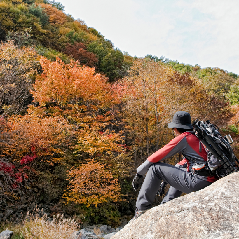 자전거 활동 사진